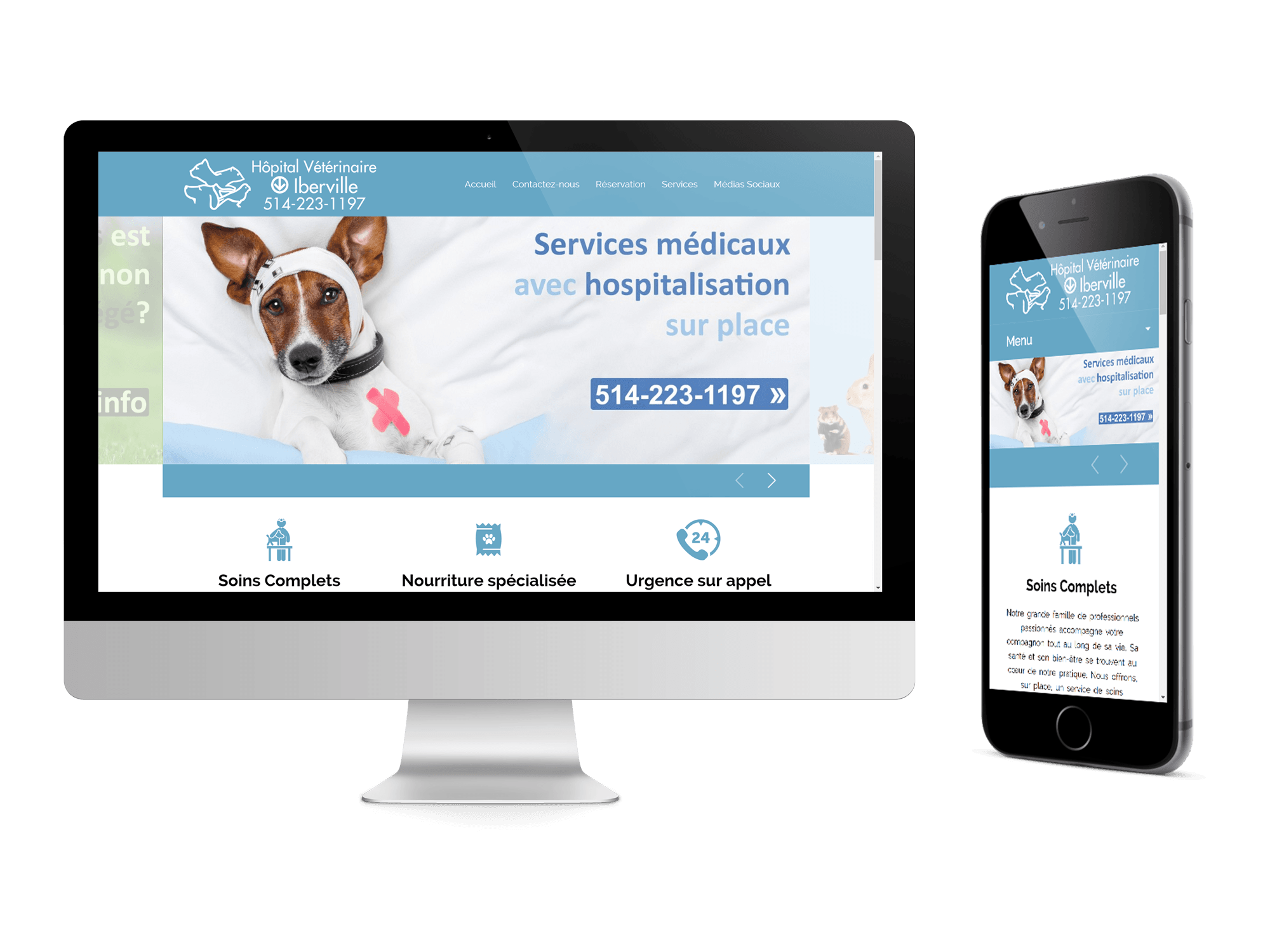 VetMontreal-Case